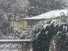 nievetorralba3